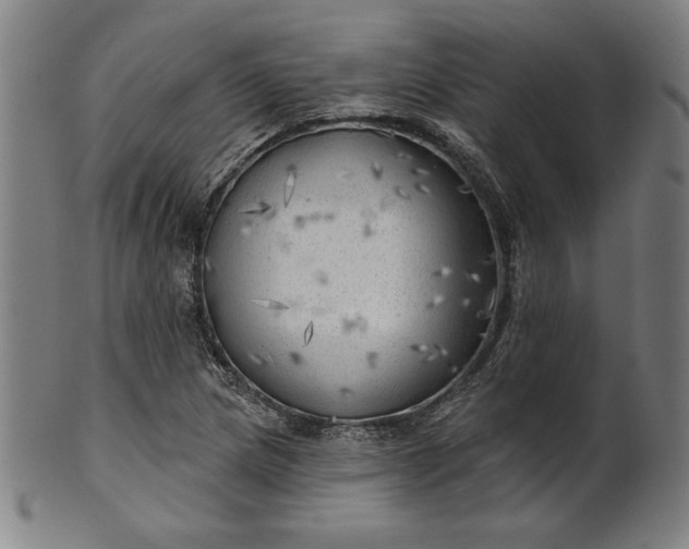 X0000101471217200807211329