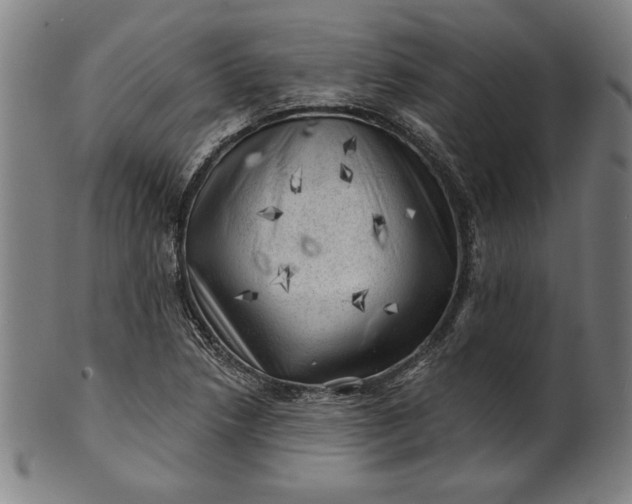 X0000101471218200807211329