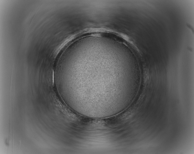 X0000101471221200807211329