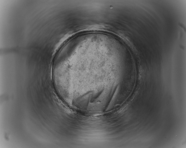 X0000101471224200807211329