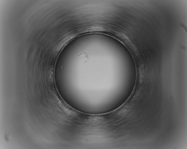 X0000101471225200807211329