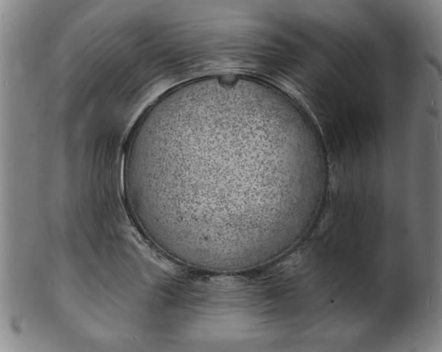 X0000101471227200807211329