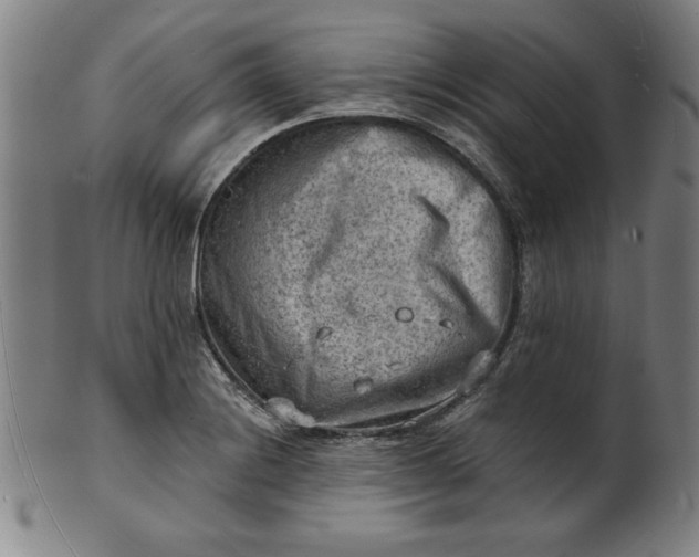 X0000101471228200807211329