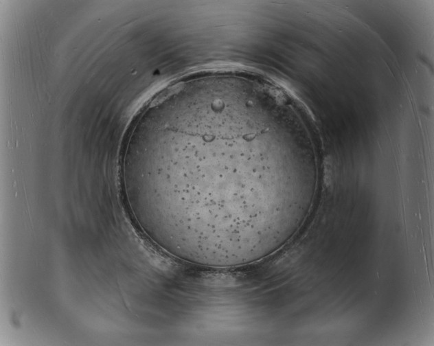 X0000101471229200807211329