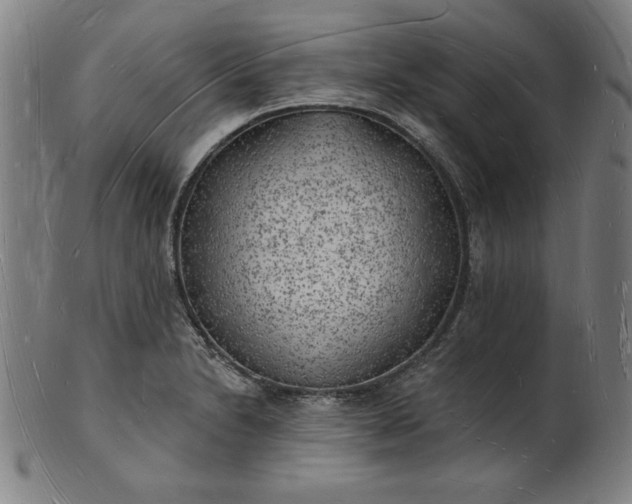 X0000101471230200807211329