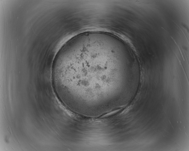 X0000101471231200807211329