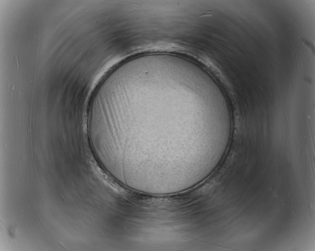 X0000101471232200807211329