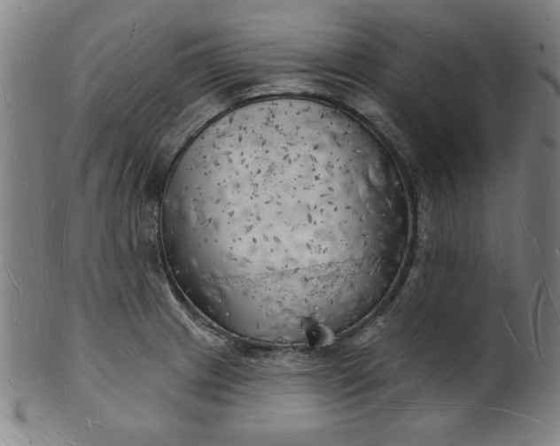 X0000101471233200807211329