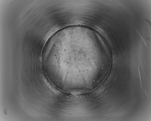 X0000101471234200807211329