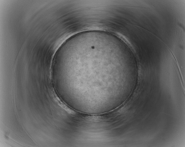 X0000101471236200807211329