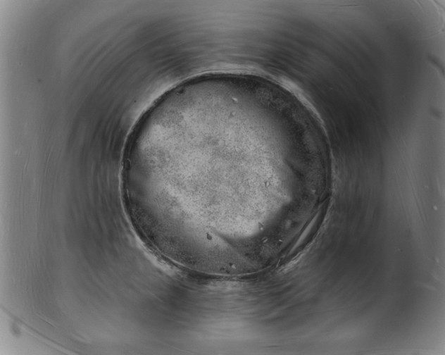 X0000101471237200807211329