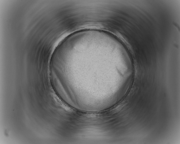 X0000101471240200807211329