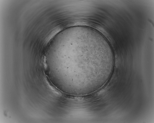 X0000101471241200807211329