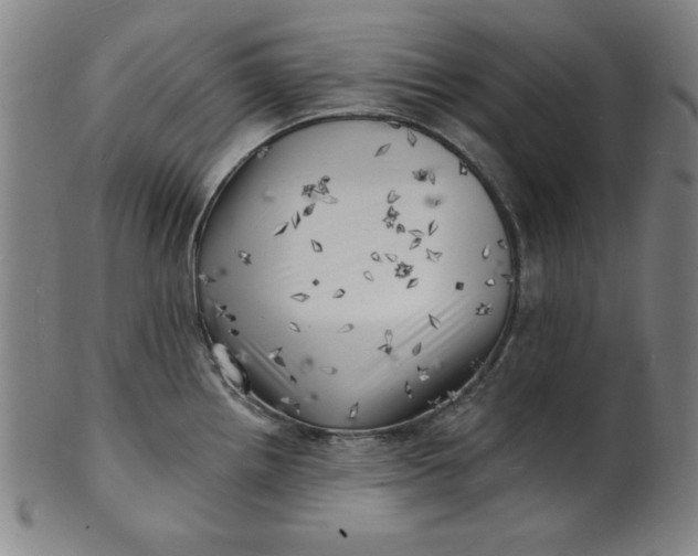 X0000101471242200807211330