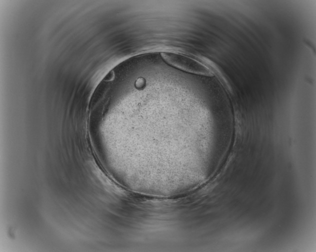 X0000101471244200807211330