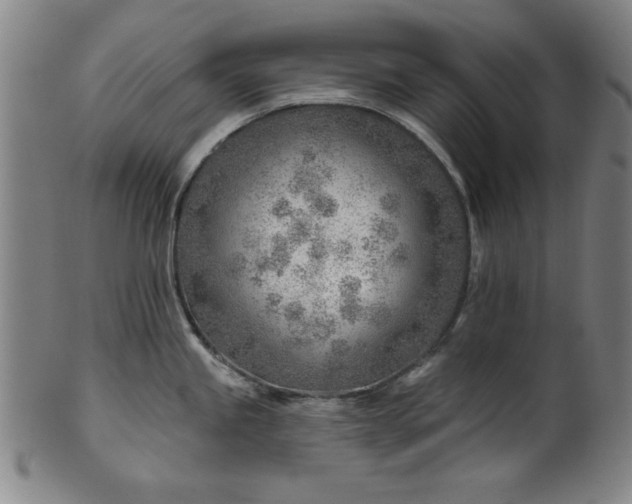 X0000101471245200807211330