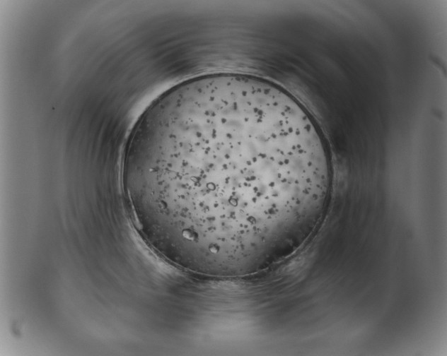 X0000101471246200807211330