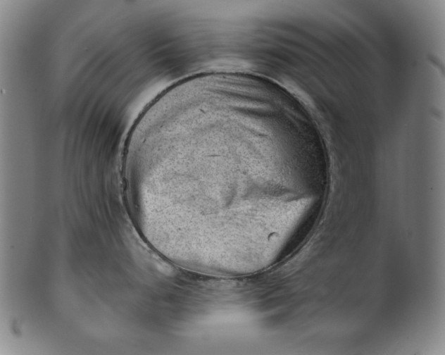 X0000101471248200807211330