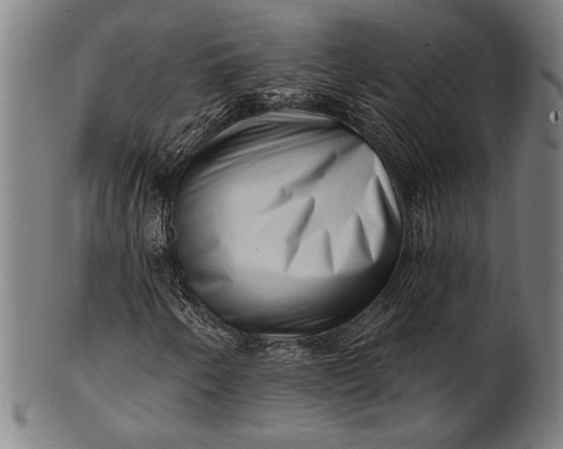 X0000101471250200807211329