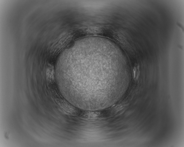 X0000101471251200807211329