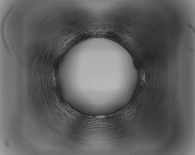 X0000101471252200807211329