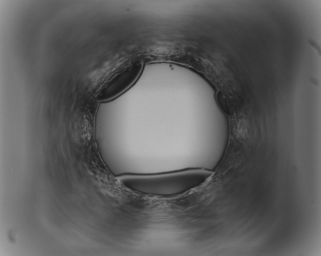 X0000101471253200807211329