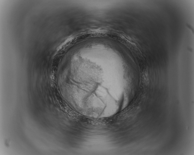 X0000101471254200807211329