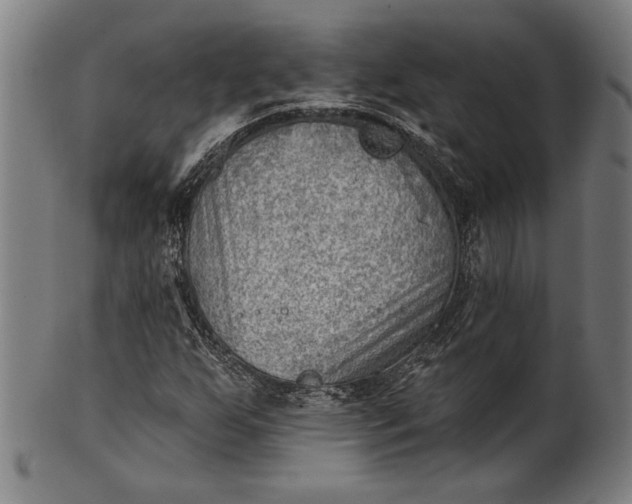 X0000101471255200807211329