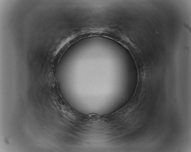 X0000101471256200807211329