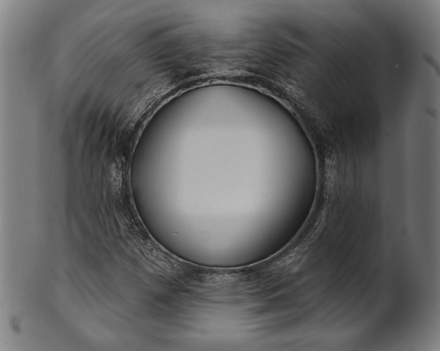 X0000101471257200807211329