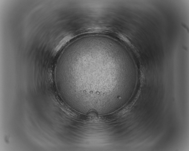 X0000101471259200807211329