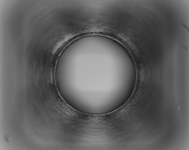 X0000101471262200807211329