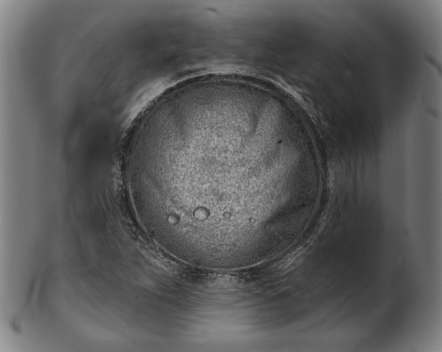 X0000101471263200807211329