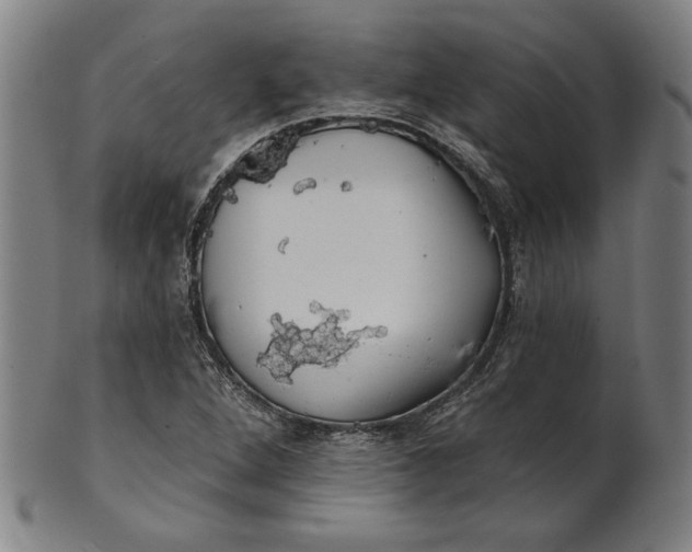 X0000101471264200807211329