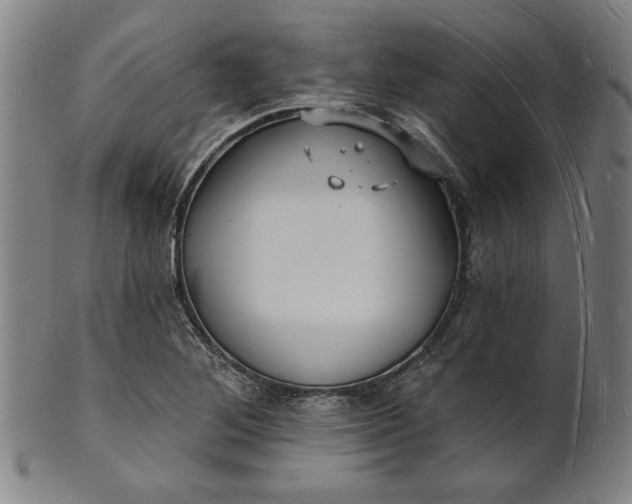 X0000101471268200807211329