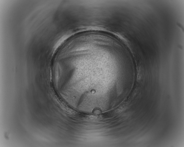 X0000101471271200807211329