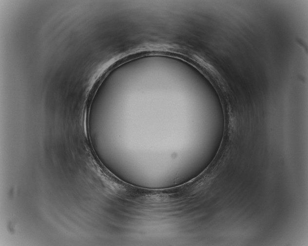 X0000101471272200807211329