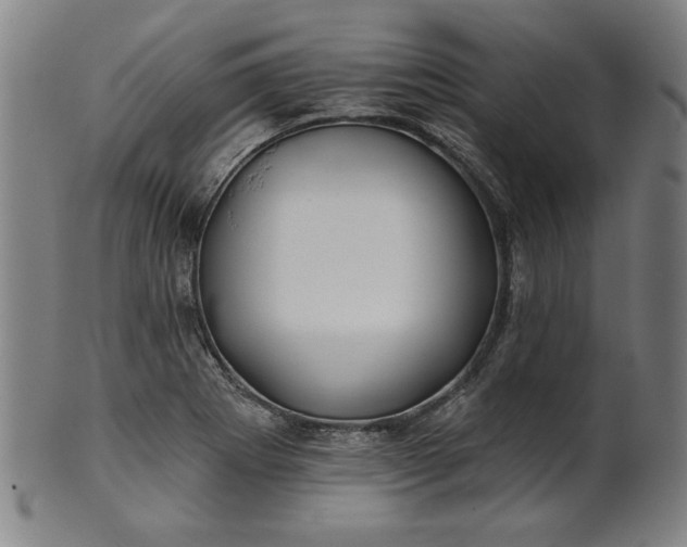 X0000101471273200807211329