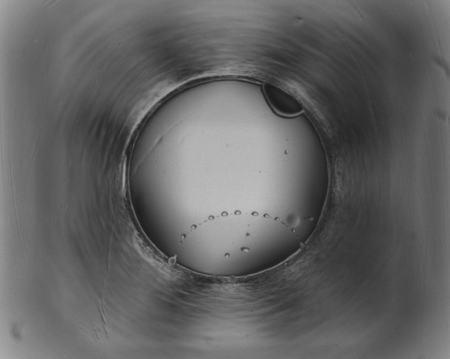 X0000101471276200807211329