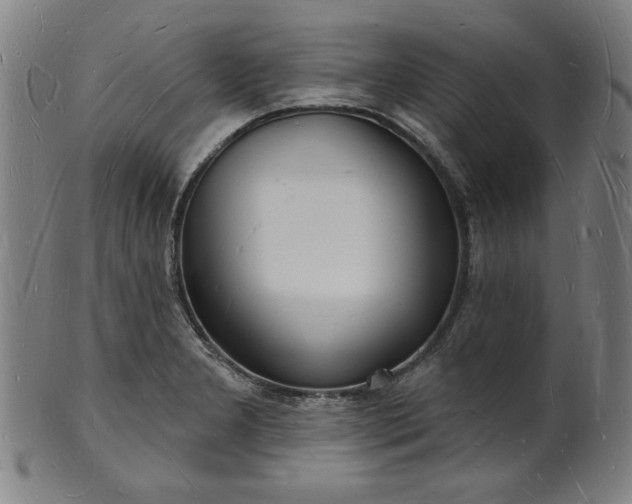 X0000101471277200807211329