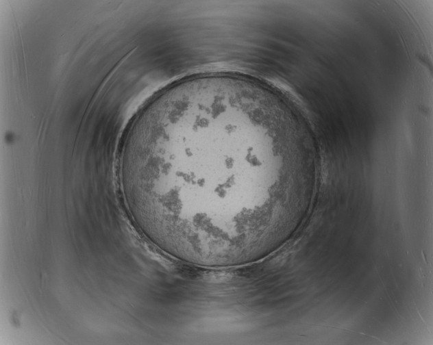 X0000101471278200807211328