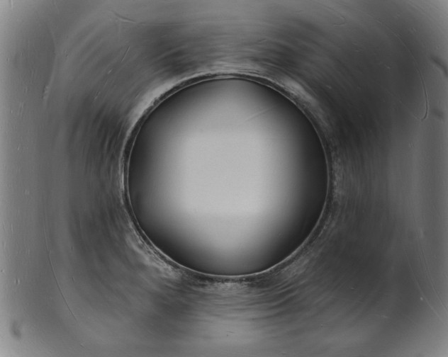 X0000101471280200807211328