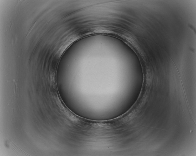 X0000101471281200807211328