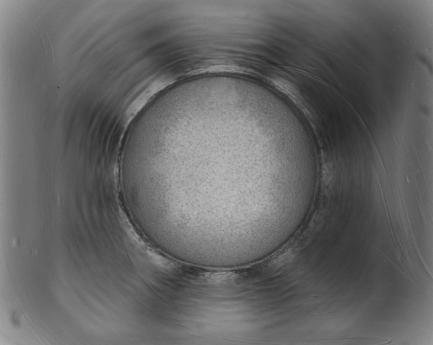 X0000101471282200807211328