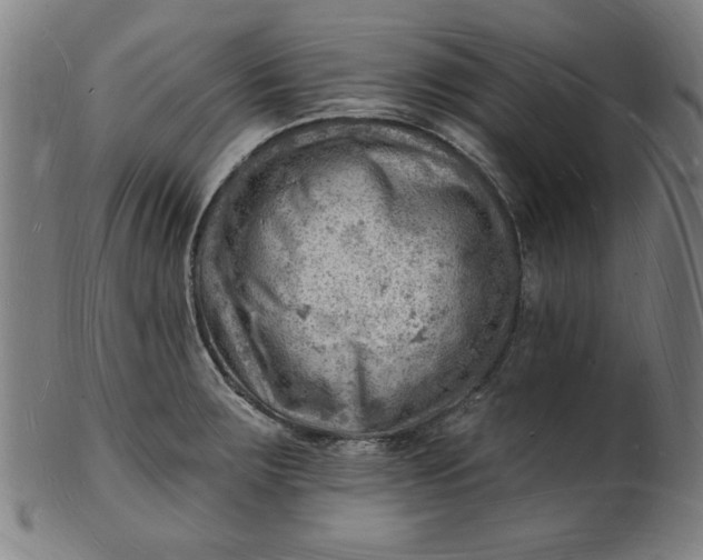 X0000101471283200807211328