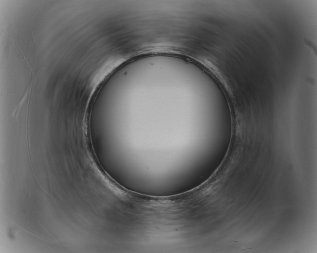 X0000101471285200807211328