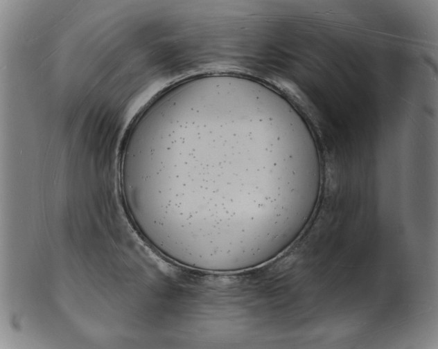 X0000101471286200807211328