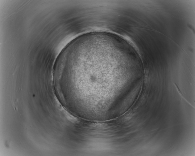 X0000101471287200807211328