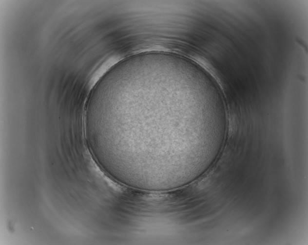 X0000101471290200807211328