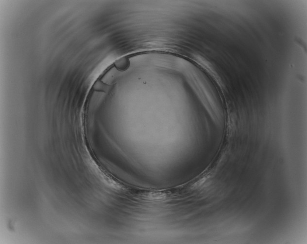 X0000101471291200807211328